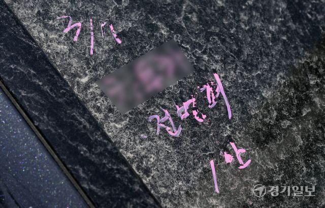 수원 평동 행정복지센터 주차장 장악한 장기 불법 주차차량 [포토뉴스]