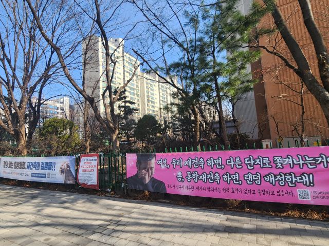 성남시 분당구 양지마을 내 한 단지에 걸린 현수막. 양지마을 재건축정상화위원회 제공