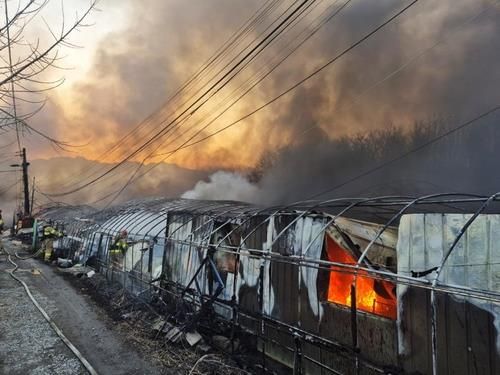 과천시 과천동 일명 ‘꿀벌마을’ 화재현장. 경기도소방재난본부 제공