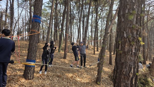 용인신릉중학교 학생들이 용인신릉공원에서 숲 밧줄 놀이터 프로젝트 수업에 참여하고 있다. 용인교육지원청 제공