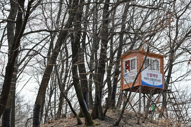 산불 감시하는 수리산 산불감시대원 [포토뉴스]