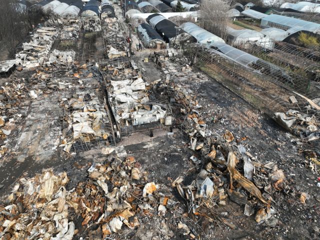 화마가 삼킨 꿀벌마을, "하늘도 무심" [포토뉴스]