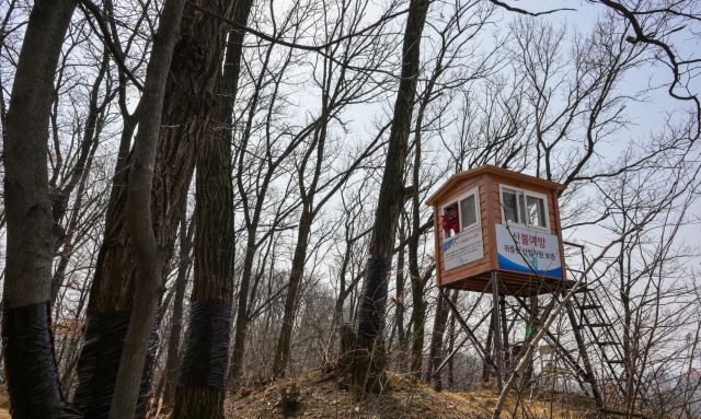 24일 오전 군포시 수리산 밤바위 산불감시초소에서 민인기 산불전문진화예방대원이 수리산 자락을 지켜보고 있다. 윤원규기자