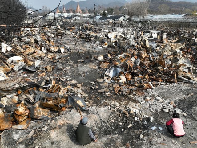 화마가 삼킨 꿀벌마을, "하늘도 무심" [포토뉴스]