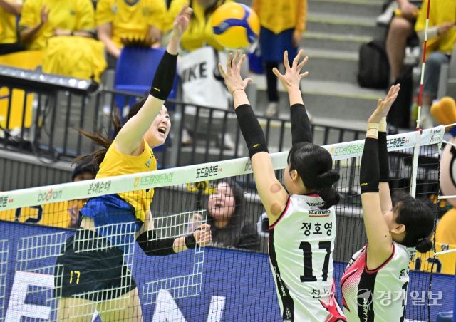 여자배구 플레이오프 정관장, 현대건설에 1차전 승리 [포토뉴스]