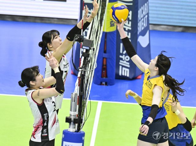 여자배구 플레이오프 정관장, 현대건설에 1차전 승리 [포토뉴스]