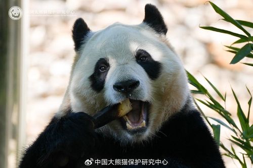 dd70a077-78c0-4fef-9a2c-cb96b51e735d