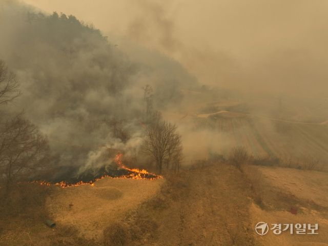 영남권을 중심으로 발생한 동시다발 산불이 닷새째 이어지면서 피해가 급증하고 있다. 25일 경북 의성의 산불은 강풍 속에 안동과 청송까지 확산되고, 안평면 하령리 일대 마을에는 대피령이 내려졌다. 사진은 시뻘건 불길이 번지고 있는 구하령 마을 인근 야산. 조주현기자