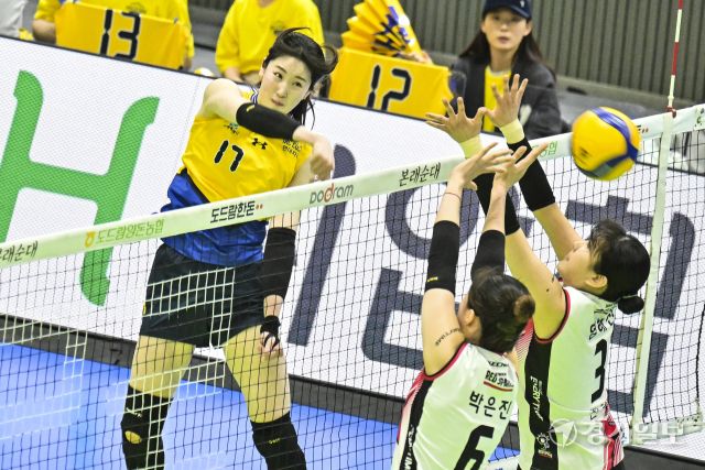 여자배구 플레이오프 정관장, 현대건설에 1차전 승리 [포토뉴스]