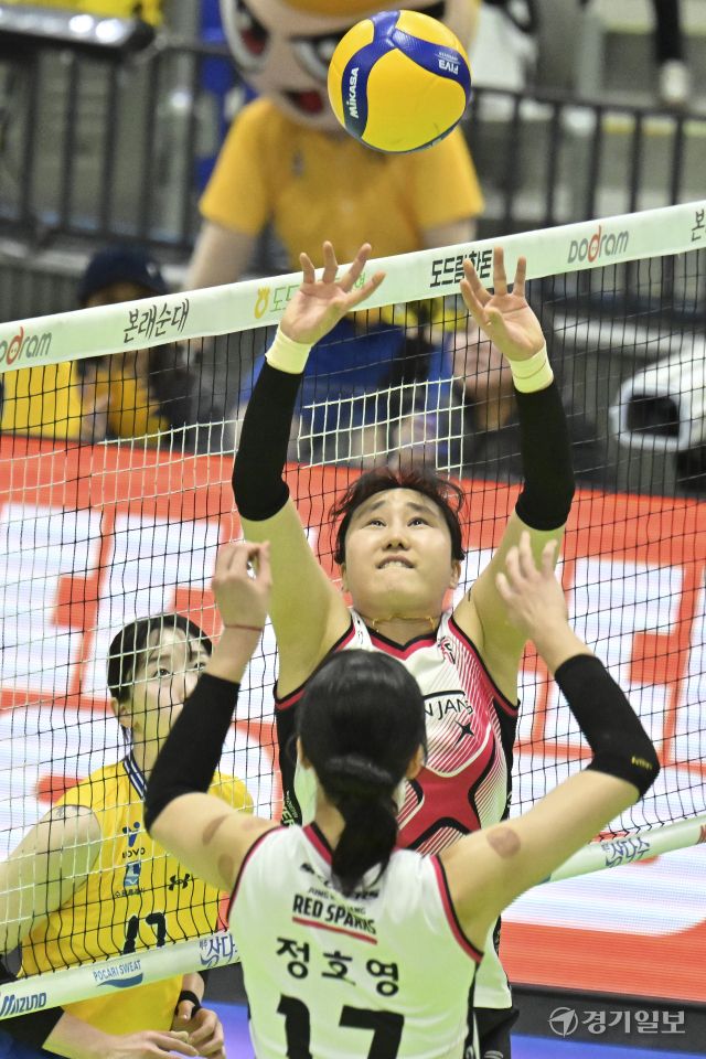 여자배구 플레이오프 정관장, 현대건설에 1차전 승리 [포토뉴스]