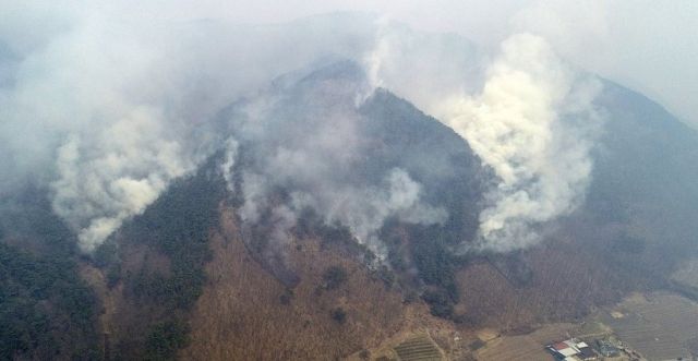 안동으로 번진 산불. 연합뉴스