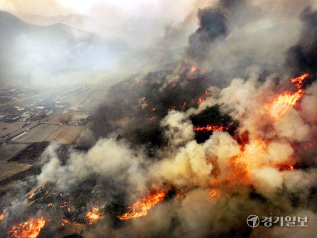 영남권을 중심으로 발생한 동시다발 산불이 닷새째 이어지면서 피해가 급증하고 있다. 25일 경북 의성의 산불은 강풍 속에 안동과 청송까지 확산되고, 안평면 하령리 일대 마을에는 대피령이 내려졌다. 사진은 시뻘건 불길이 번지고 있는 구하령 마을 인근 야산. 조주현기자