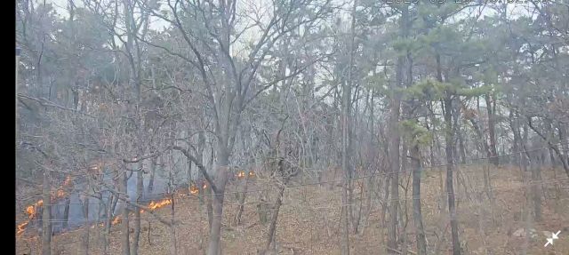 화성 남양읍 시리 산불현장. 화성소방서 제공