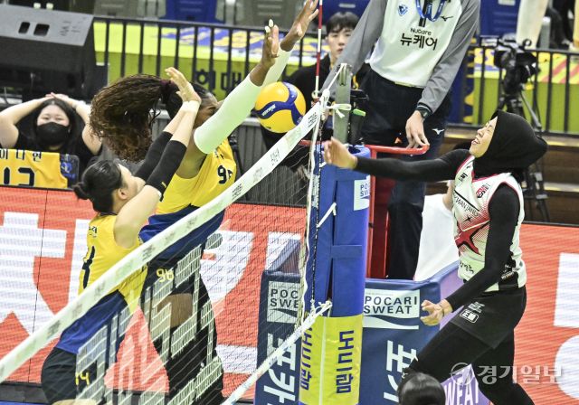 여자배구 플레이오프 정관장, 현대건설에 1차전 승리 [포토뉴스]