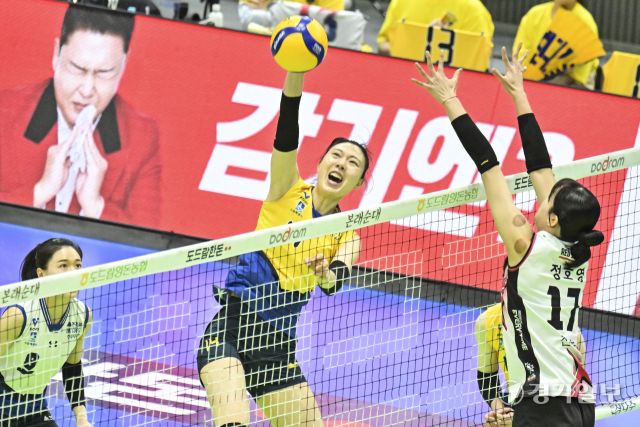여자배구 플레이오프 정관장, 현대건설에 1차전 승리 [포토뉴스]