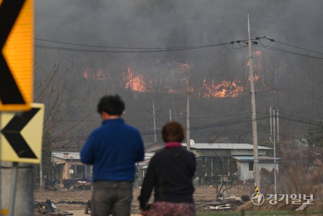 영남권을 중심으로 발생한 동시다발 산불이 닷새째 이어지면서 피해가 급증하고 있다. 25일 경북 의성의 산불은 강풍 속에 안동과 청송까지 확산되고, 안평면 하령리 일대 마을에는 대피령이 내려졌다. 사진은 시뻘건 불길이 번지고 있는 구하령 마을 인근 야산. 조주현기자