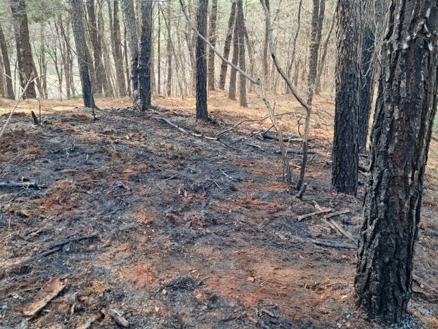 용인 기흥구 하갈동 아람산 화재현장. 경기도소방재난본부 제공