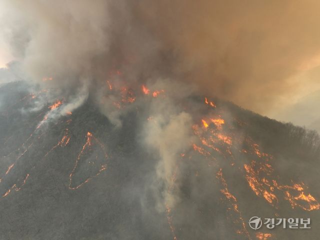 영남권을 중심으로 발생한 동시다발 산불이 이어지면서 피해가 급증하고 있다. 25일 경북 의성의 산불은 강풍 속에 안동과 청송까지 확산되고, 안평면 하령리 일대 마을에는 대피령이 내려졌다. 사진은 시뻘건 불길이 번지고 있는 구하령 마을 인근 야산. 조주현기자