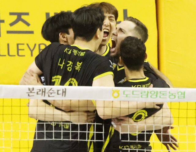 26일 의정부 경민대체육관에서 열린 도드람 2024-2025 V리그 남자부 플레이오프 인천 대한항공과의 1차전서 승리한 의정부 KB손해보험 선수들이 서로 부등켜 안고 기뻐하고 있다.연합뉴스