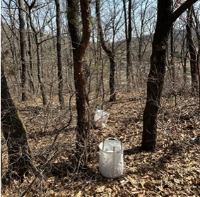 시 보건환경연구원이 인천의 한 공원에 진드기 트랩을 설치했다. 인천시 제공