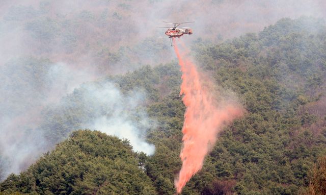 PYH2025032511490005200