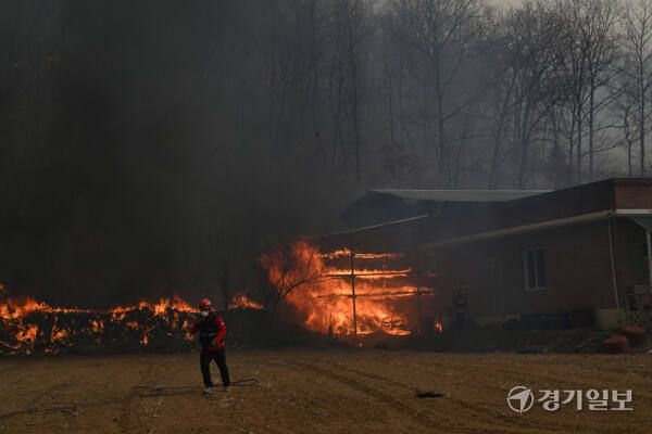 뻘건 불길이 번지고 있는 구하령 마을 인근 야산. 조주현 기자