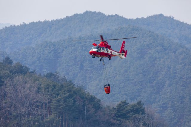 기사의 이해를 돕기 위한 이미지로 기사와 직접적 연관은 없습니다. 이미지투데이