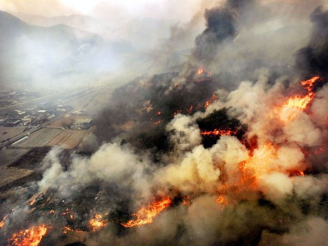 웹_윤_2025032518565329518