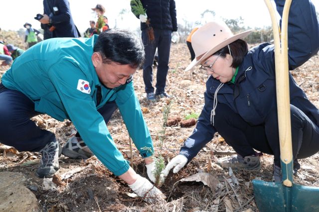 김보라 안성시장이 시청 산림과장과 함께 화백나무를 식재하고 있다. 안성시 제공