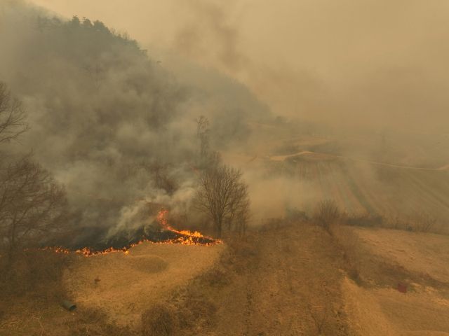 영남권을 중심으로 발생한 동시다발 산불이 닷새째 이어지면서 피해가 급증하고 있다. 25일 경북 의성의 산불은 강풍 속에 안동과 청송까지 확산되고, 안평면 하령리 일대 마을에는 대피령이 내려졌다. 사진은 시뻘건 불길이 번지고 있는 구하령 마을 인근 야산. 조주현기자