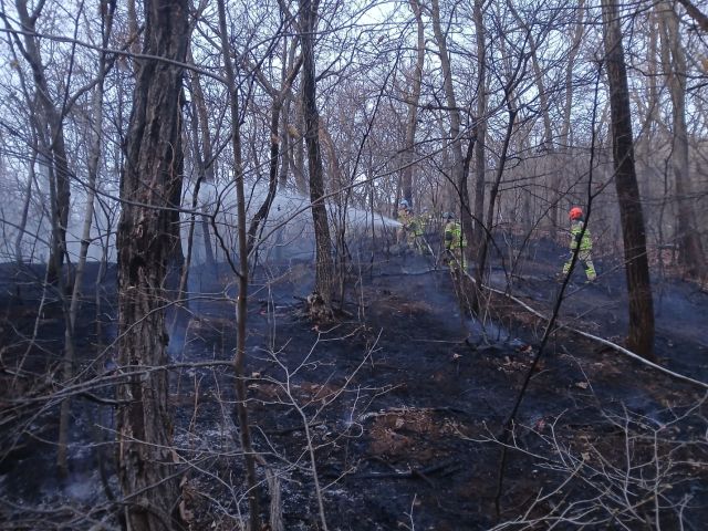 29일 인천 서구 석남동 원적산에서 불이 나 소방 당국이 진화에 나섰다.