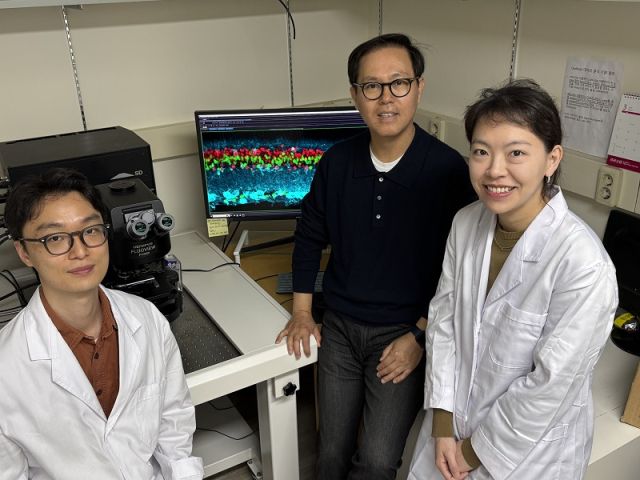김진우 KAIST 생명과학과 교수 연구팀(왼쪽부터 김무성 박사과정, 김진우 교수, 이은정 박사). KAIST 제공