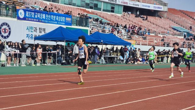 안산교육지원청이 31일 ‘와~스타디움’ 경기장에서 개최한 ‘제37회 교육장배 안산 학생육상대회’에서 선수들이 뛰고 있다. 안산교육지원청 제공