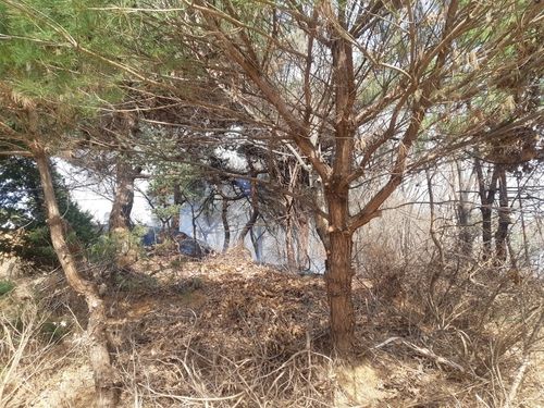 파주 광탄면 신산리 야산 화재현장. 경기도북부소방재난본부 제공