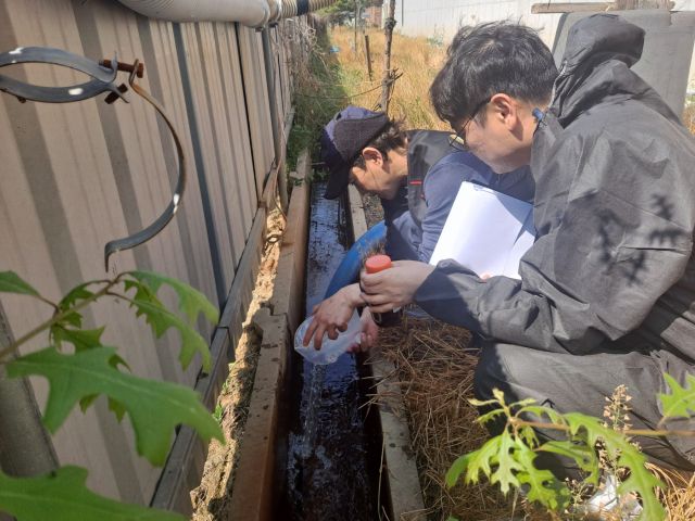 안성시 공무원들이 수질오염 예방을 위해 축산농가 정화방류시설을 점검하고 있다. 안성시 제공