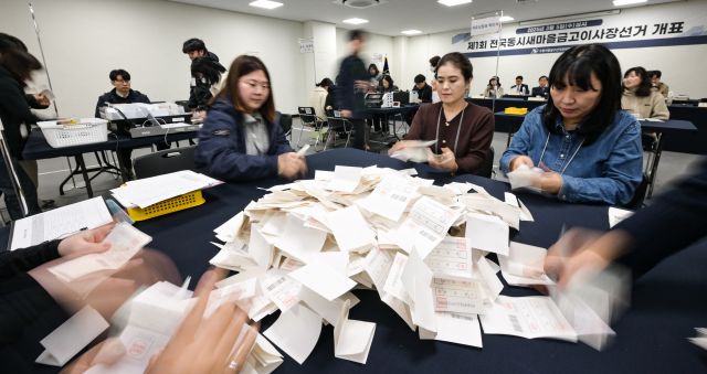 '제1회전국동시새마을금고이사장 투표일'인 5일 오후 수원시팔달구 선거관리위원회 1층에 마련된 개표장에서 개표위원과 참관인들이 투표지를 확인하고 있다. 이번 선거의 전국 투표율은 25.7%, 경기지역 투표율은 경기지역 55만4천362명 중 8만9천989명이 투표에 참여해 16.2%로 집계됐다. 윤원규기자