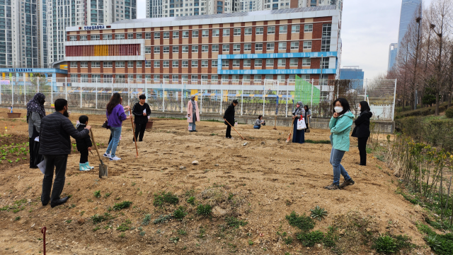 지난해 행복텃밭 가꾸기 사업에 참여한 외국인들이 파종 준비를 하고 있다. 인천경제청 제공