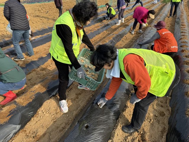 농협중앙회 화성시지부와 화성시 지역농협이 농촌 지원을 위한 2025년도 화성시 범농협 영농지원 발대식을 개최했다. 농협중앙회 화성시지부 제공