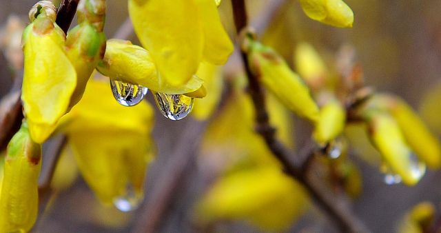 자료사진. 경기일보DB