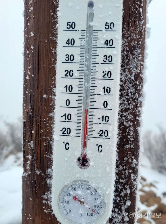 13일 오전 양평군 용문산에 때 아닌 폭설이 내려 분홍 진달래와 등산로, 나뭇가지에 하얀 눈이 소복이 쌓여 멋진 설경을 연출하고 있다. 황선주기자