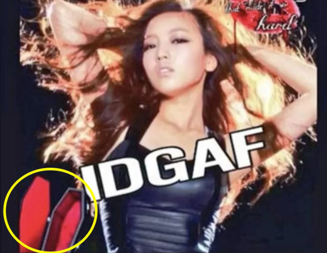 파이비 공식 계정에 올라온 구하라 사진. 서경덕 교수 페이스북 캡처