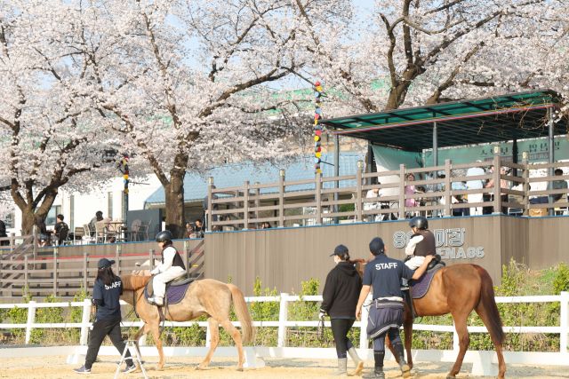 ‘도심 승마체험’ 프로그램. 한국마사회 제공