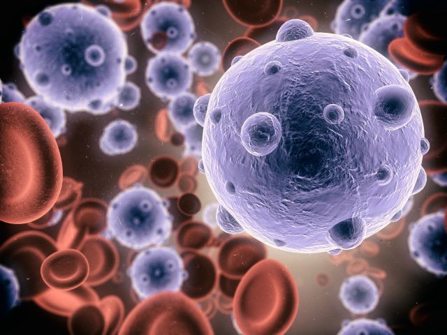 기사의 이해를 돕기 위한 이미지로 기사와 직접적 연관은 없습니다. 이미지투데이