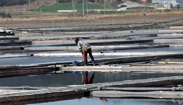 기사의 이해를 돕기 위한 이미지로 기사와 직접적 연관은 없습니다. 연합뉴스