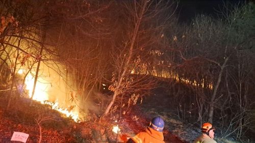 화성 매송면 야목리 야산 산불현장. 경기도소방재난본부 제공