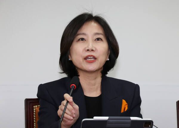 허은아 개혁신당 전 대표. 연합뉴스