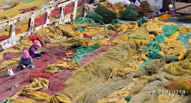 완연한 봄 날씨를 보인 23일 인천 중구 북성포구에서 어민들이 출어를 위해 배 위에 그물을 펼쳐 손질을 하고 있다.조병석기자