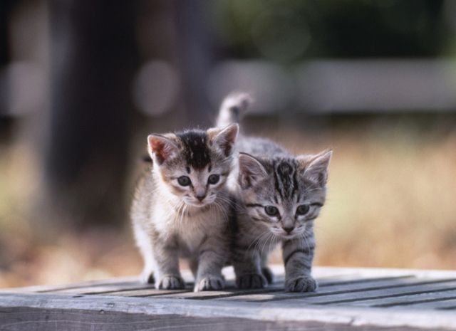 기사의 이해를 돕기 위한 이미지로 기사와 직접적 연관은 없습니다. 이미지투데이