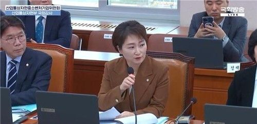 더불어민주당 이언주 의원. 연합뉴스