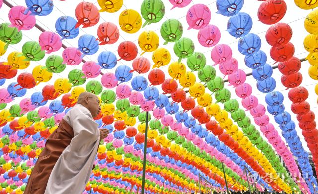 8일 앞둔 석가탄신일, 형형색색 밝히는 오색연등 설치한 용주사 [포토뉴스]